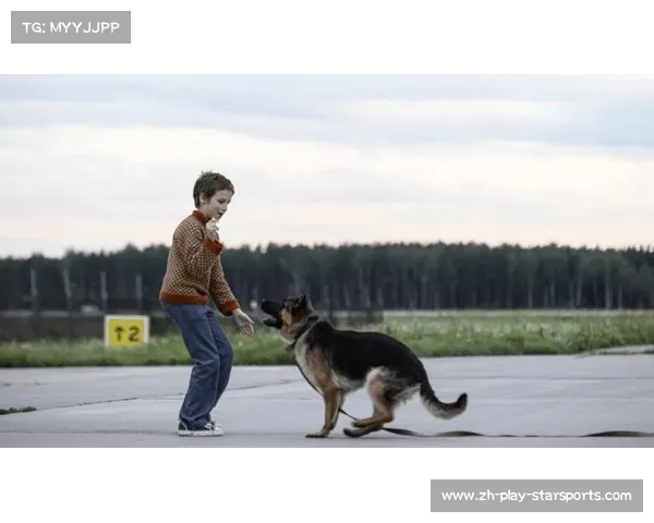 忠犬帕尔玛故事背后的真实狗狗原型与演绎历程揭秘 忠犬帕尔玛故事背后的真实狗狗原型与演绎历程揭秘